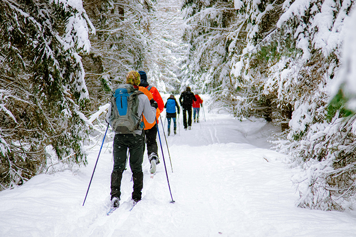 Gruppe von Menschen mit Rucksäcken und Skistöcken beim Langlaufen auf einem schneebedeckten Waldweg.